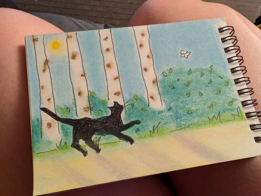 A drawing of a little black cat chasing a butterfly past some silver birch trees