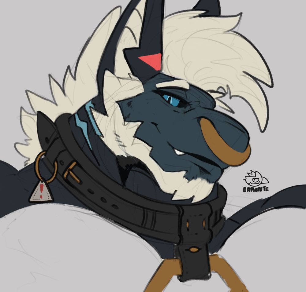 A drawing of Blau looking at the viewer :)