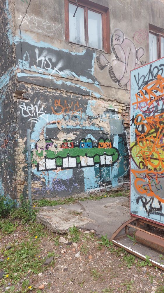 A much graffited crumbling wall of a building with four painted beavers with colored ninja wraps around the eyes like the teenage mutant ninja turtles. 