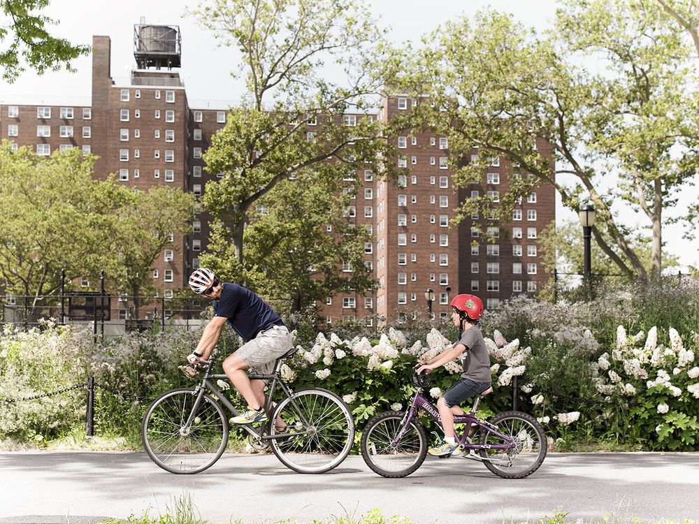 A father and son ride bikes
