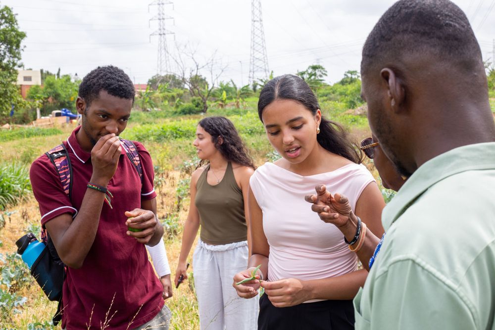 Students smelling and looking at an herb