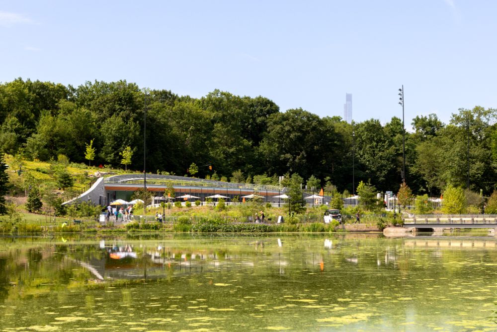 A shot of the park near the Davis Center pool