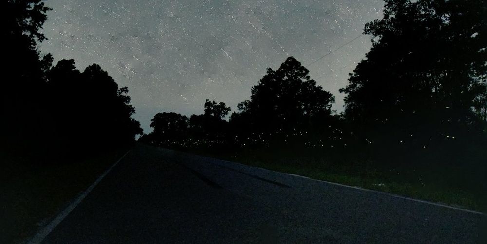 Image of fireflies flashing along a country road in rural Florida in May 2023