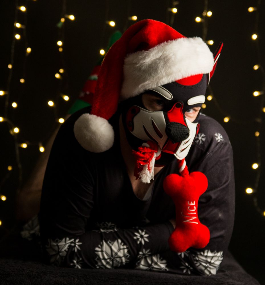 A human pup posing for a Christmas portrait, with a Santa hat and a Nice bone shaped dog toy