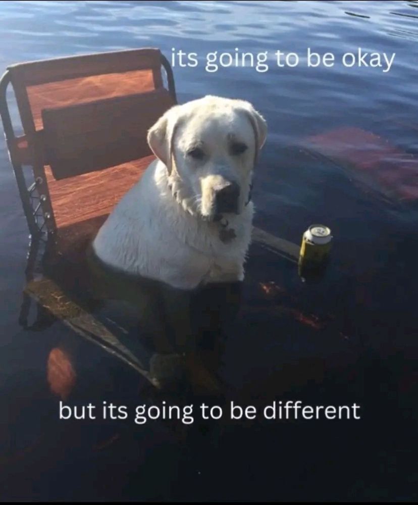 Picture of dog sitting in a camping/lawn chair with a can of beer in the handrest area, and the chair and dog are halfway submerged in brackish clear water. The white top text reads: "its going to be okay" and the bottom text reads "but its going to be different" 