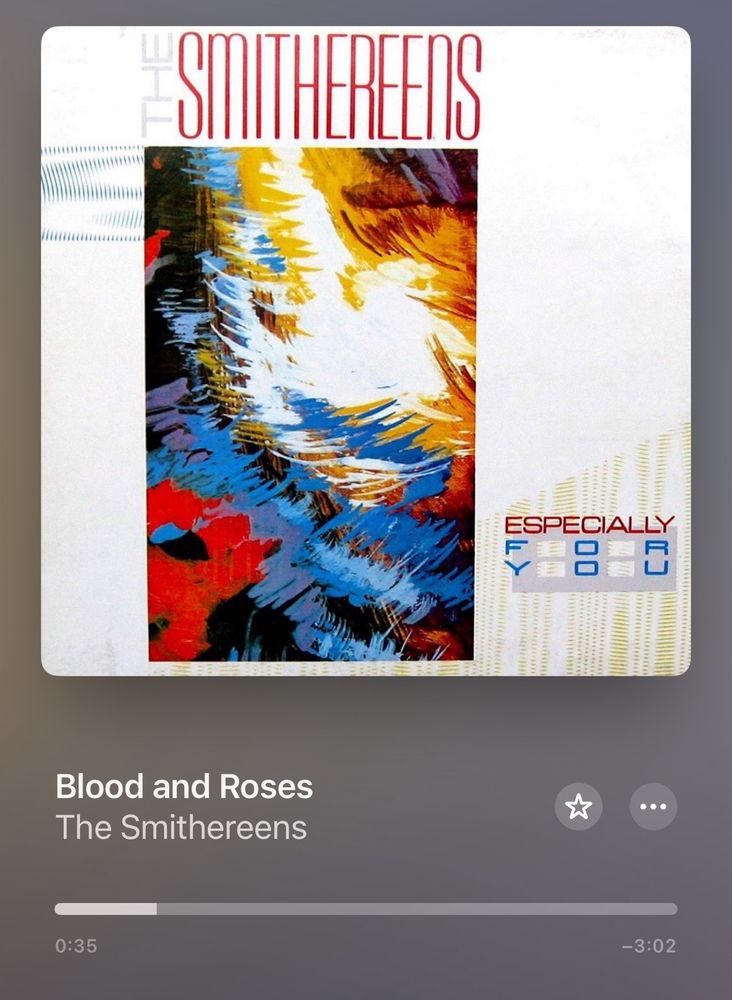 Blood and Roses by The Smithereens