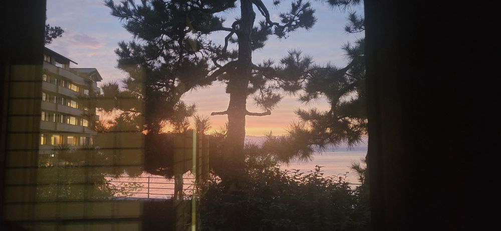 A view through a glass window inside a house. There is a dark silhouette of a coniferous tree in the foreground. Beyond it is a vast ocean with the sun setting on the horizon. The sky is a spectrum of colours.