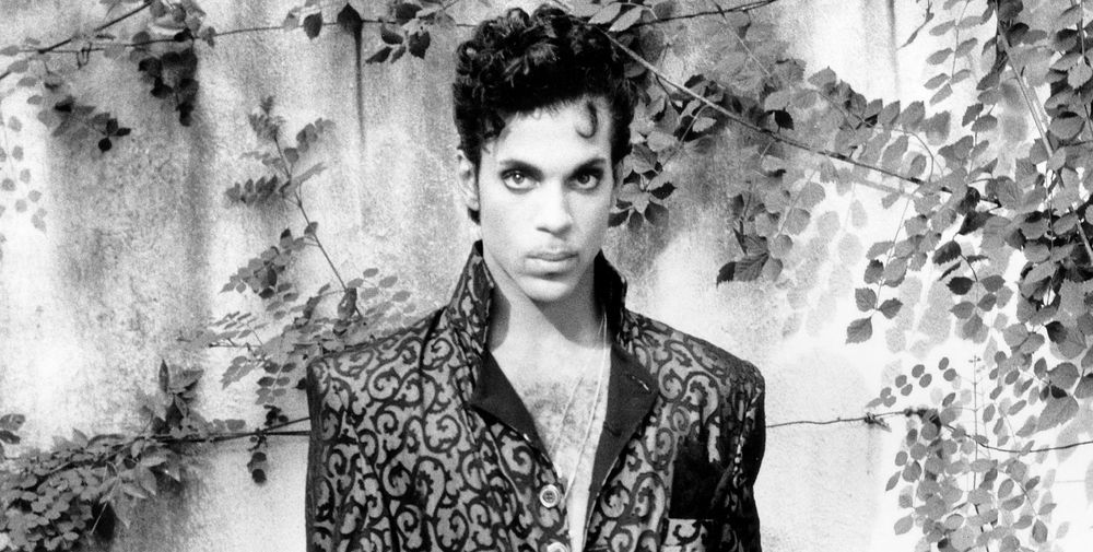 Under the Cherry Moon