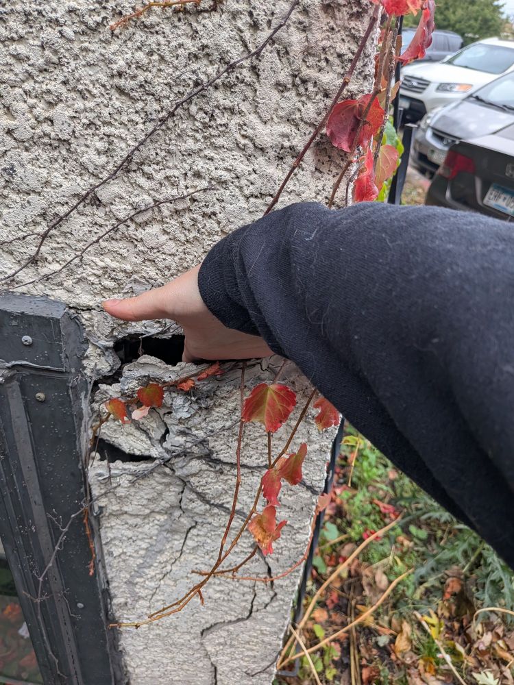 a hand stuck inside of a large hole in the exterior of a building which has orange/red ivy