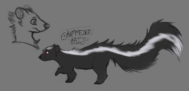 Two sketches of a skunk. The top left is a head-shot uncolored sketch of a characterized version of a skunk with longer neck "hair" like fur. The second is a side view of a quad footed skunk with dark grey and light grey coloring.