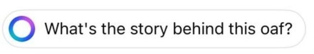 meta AI-suggested question "What's the story behind this oaf?"