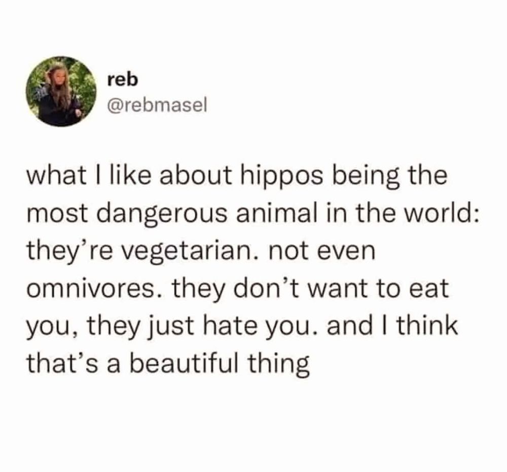 Post from @rebmasel saying : "what I like about hippos being the most dangerous animals in the world : they're vegetarian. Not even omnivores. They don't want to eat you, they just hate you. And I think that's a beautiful thing." 