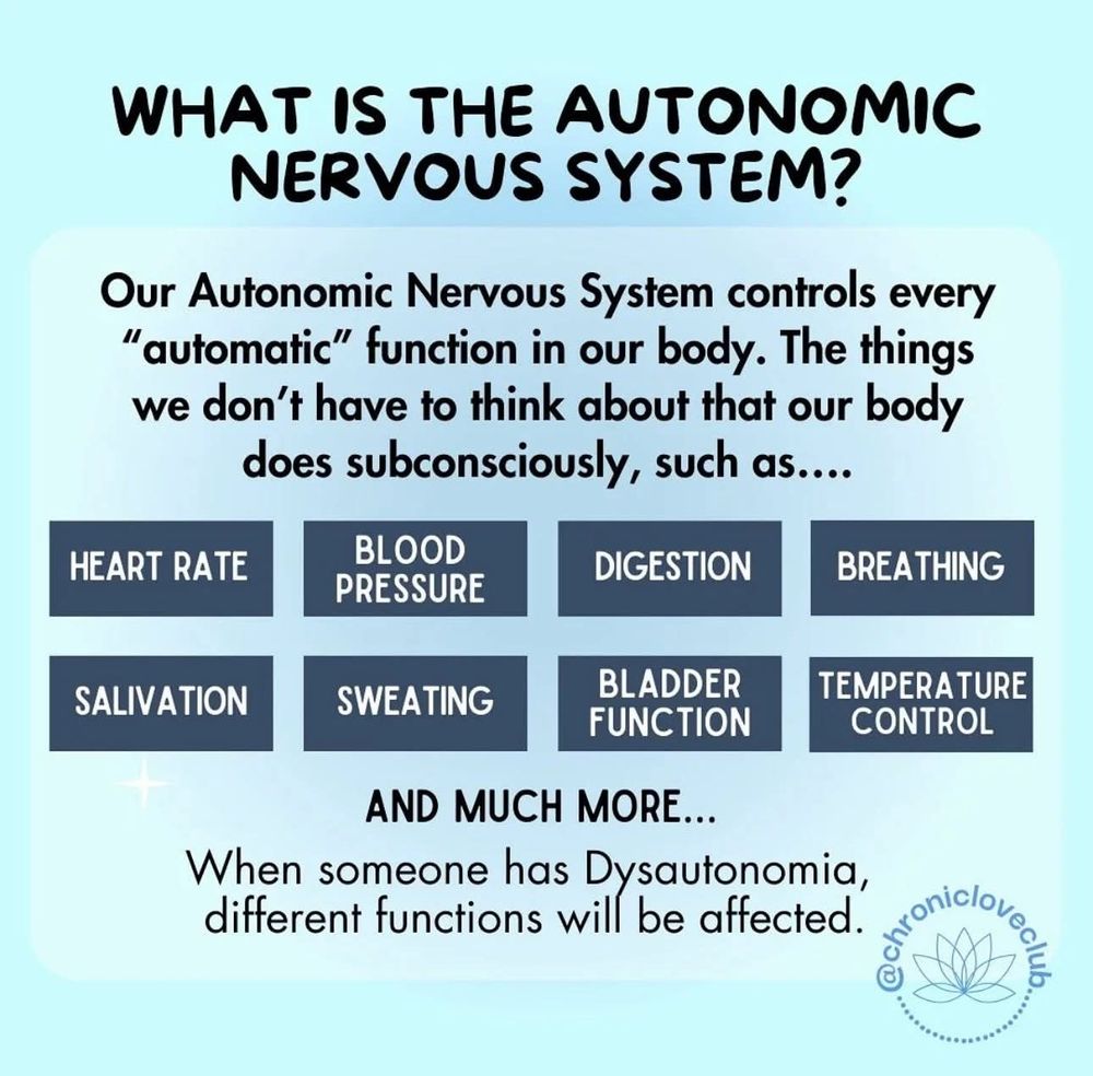 Text informing about the autonomic nervous system. 