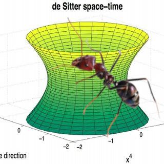 An ant crawling on a diagram of de Sitter space-time.

Get it?

It's ant de Sitter space! You know, like anti de Sitter space?

...