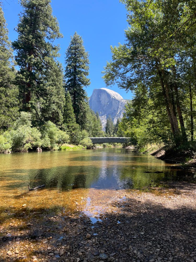 Half Dome is in the distance beyond the trees and the Merced River. 
