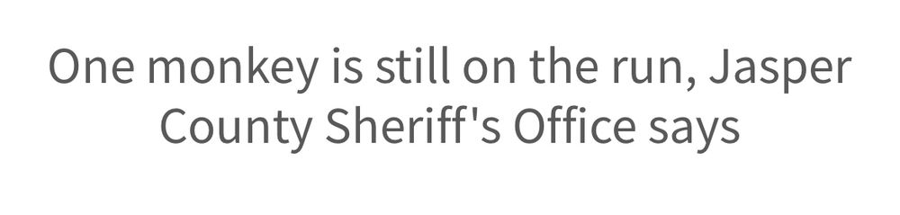One monkey is still on the run, Jasper County Sheriff's Office says