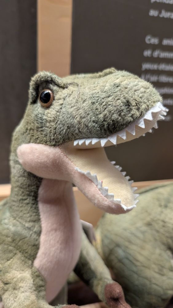 Une peluche de dino l'air chokbar