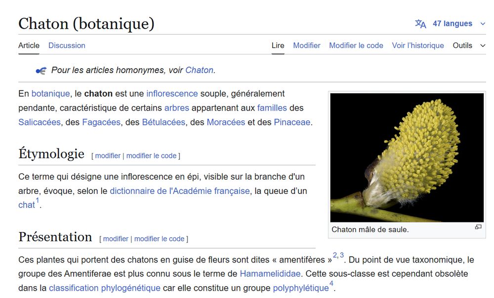 Capture d'écran de la page Wikipédia intitulée 'Chaton (botanique)', affichant la définition d'un chaton comme une inflorescence souple et pendante, avec une section sur l'étymologie et une image d'un chaton mâle de saule sur la droite.