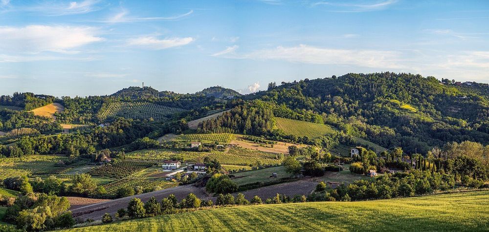 Image montrant des vignobles et des collines boisées sous un ciel bleu parsemé de quelques nuages, avec des habitations dispersées dans le paysage. La lumière du soleil éclaire les champs au premier plan et met en valeur le relief des collines.