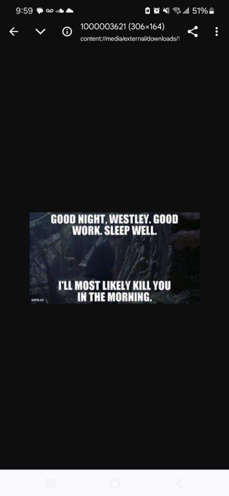 Quote from Princess Bride "Good night Westley.  Good work.  Sleep well.  I'll most likely kill you in the morning"