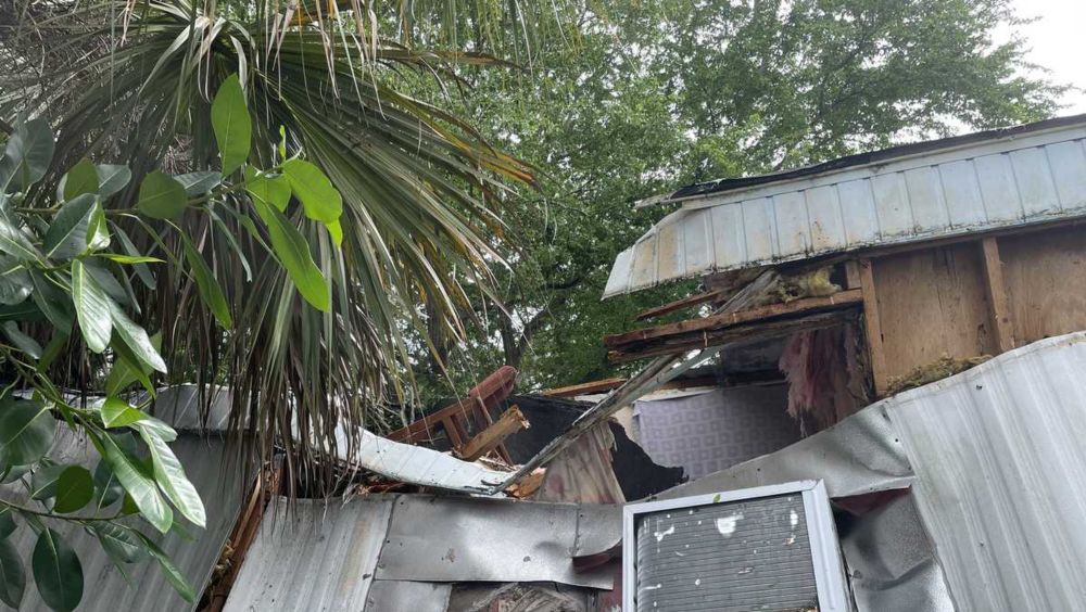 Tree falls on Florida family's home during Hurricane Helene, trapping them inside