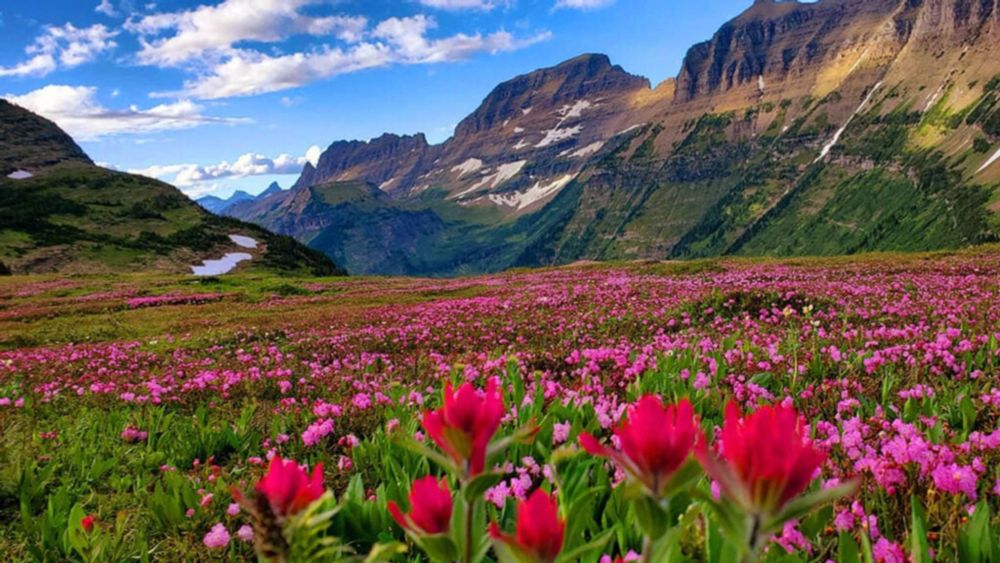 Hit the Road to Glacier National Park from Yellowstone