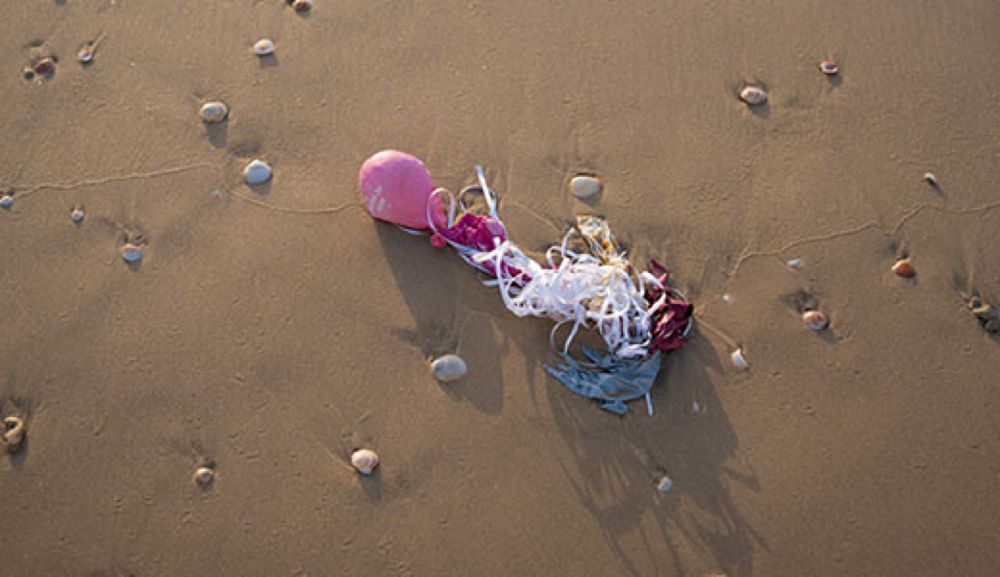 Keep Balloon Litter Out of Our Ocean