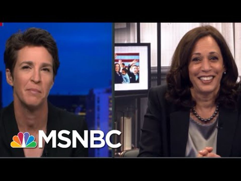 Could You See The Fly? | Rachel Maddow | MSNBC