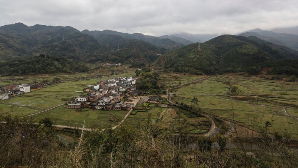 In Rural China, ‘Sisterhoods’ Demand Justice, and Cash