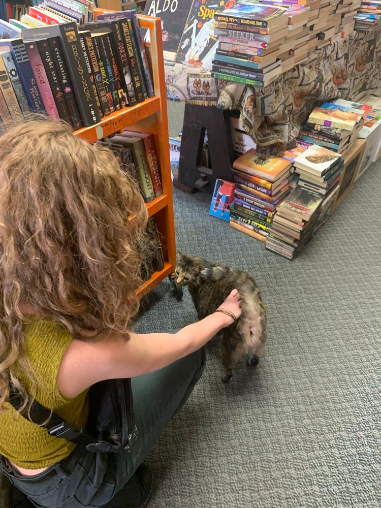 My sister crouched on the floor of a bookstore petting a brown tabby cat.