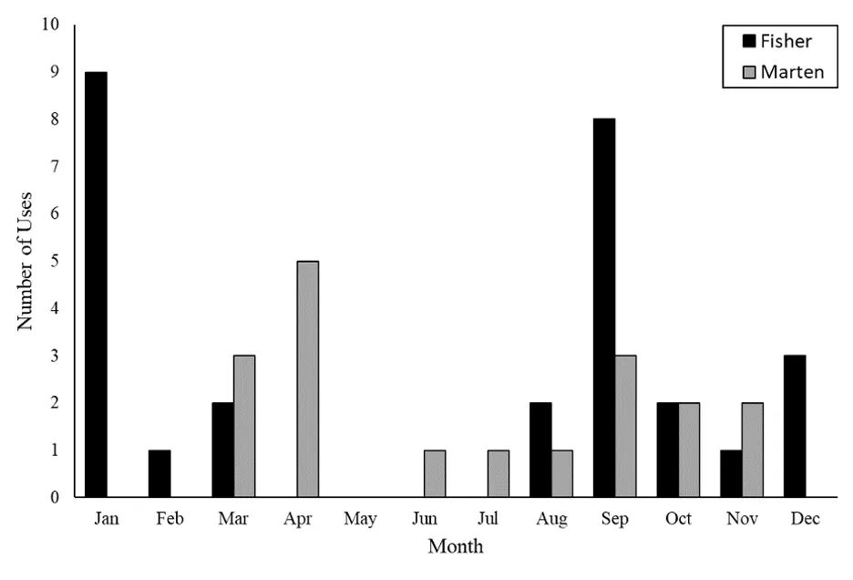 Histogram showing the number of uses detected by fishers and martens for each month of the year. Fishers uses are shown in black bars while marten uses are shown in gray bars.