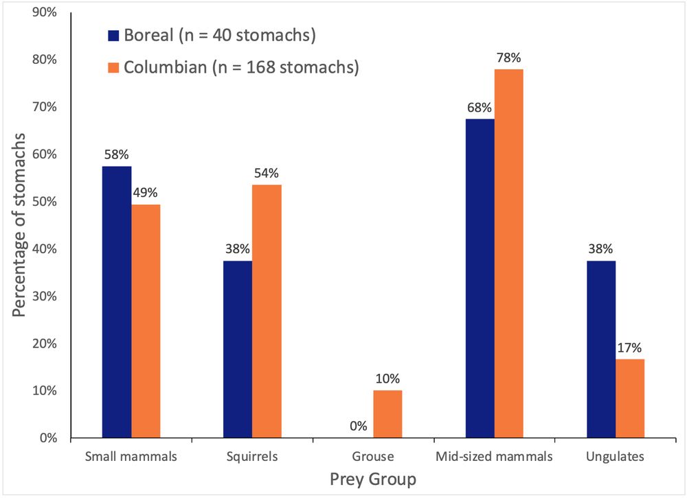 Frequency of occurrence of 5 different prey groups in stomachs during winter collected from 208 fisher carcasses in British Columbia, Canada, 1989-1993. Many stomachs had multiple prey items, so total percentages occasionally summed to greater than 1.