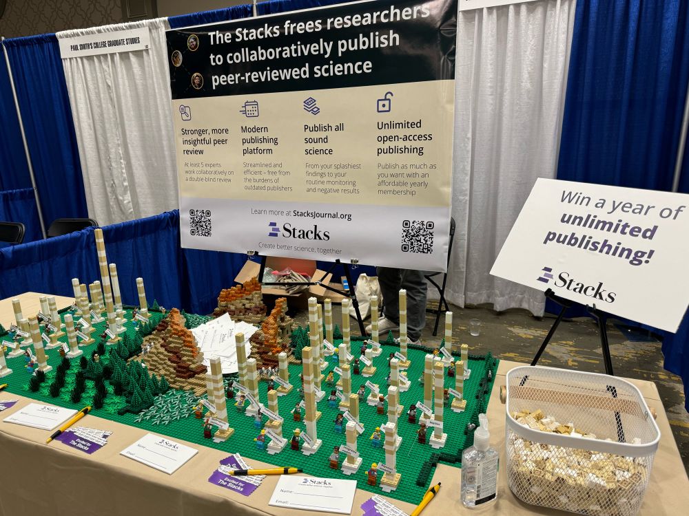 Our poster and Lego display at TWS.