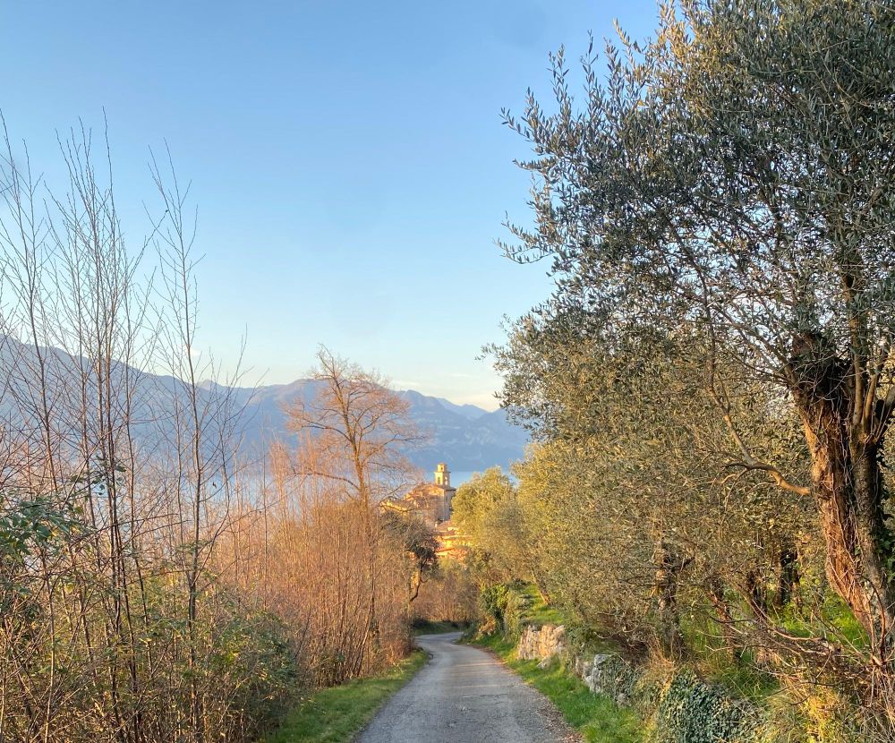 Bild von Pai am Gardasee