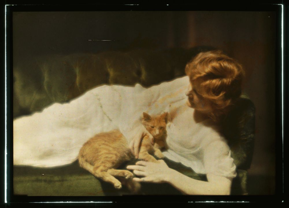 «Ann Murdock with Buzzer IV», an autochrome of a red-headed woman and a ginger cat (Arnold Genthe, 1914)