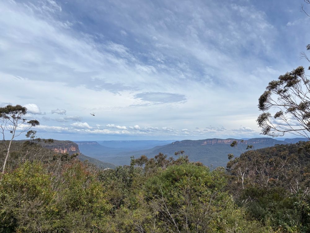 A view across the Blue Mountains with a wild cloudy sky and trees in the foreground 