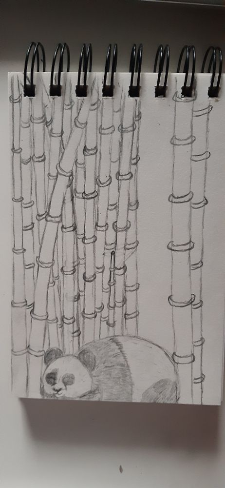 Panda sleeping in a bamboo forest