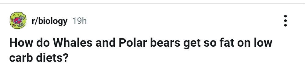 A screenshot of a question on the r/biology sub Reddit: "How to whales and polar bears get so fat on low carb diets?"