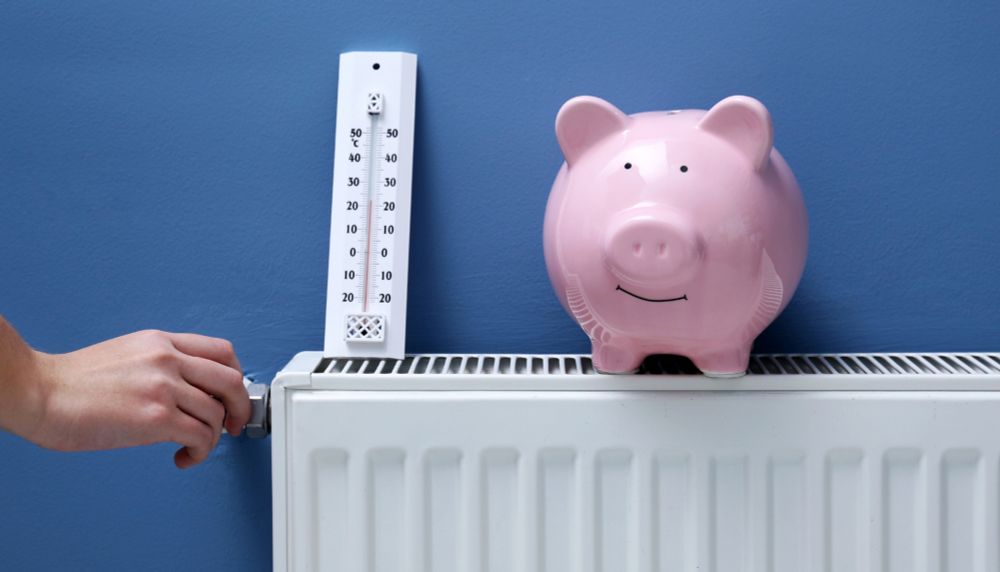 Maximising Savings: Navigating My First Year with Octopus Energy and Heat Pump Running Costs - Renewable Heating Hub