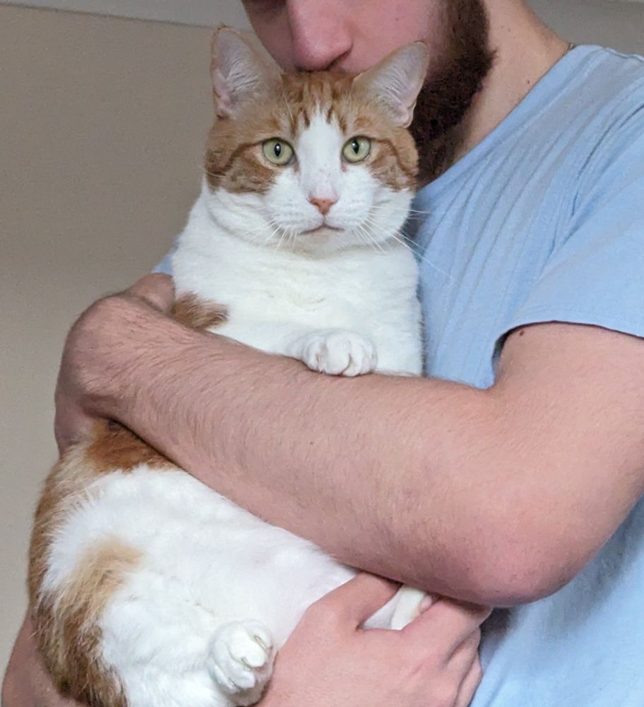 A young bearded man is holding and snuggling Eli the orange and white cat. Eli is resigned and just waiting for it to be over.
