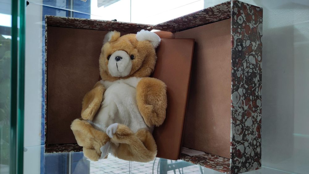 Reliure d'art de l'album jeunesse "Les nounours sont éternels" de Ralph Steadman. La couverture est en cuir brun et surtout un ours en peluche couleur caramel est collé dessus. Il est accompagné d'un coffret brun et beige.