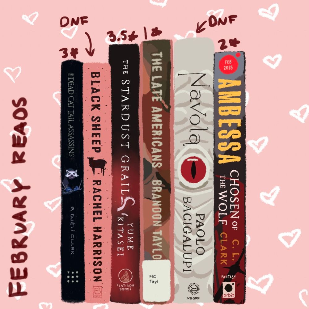 Drawn collection of books: the dead cat tail assassins, black sheep, the stardust grail, the late Americans, Navola, and ambessa: chosen of the wolf 