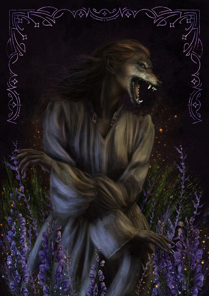 The illustration of the werewolf, surrounded by specks of golden and pale blue light and aconitum flowers.