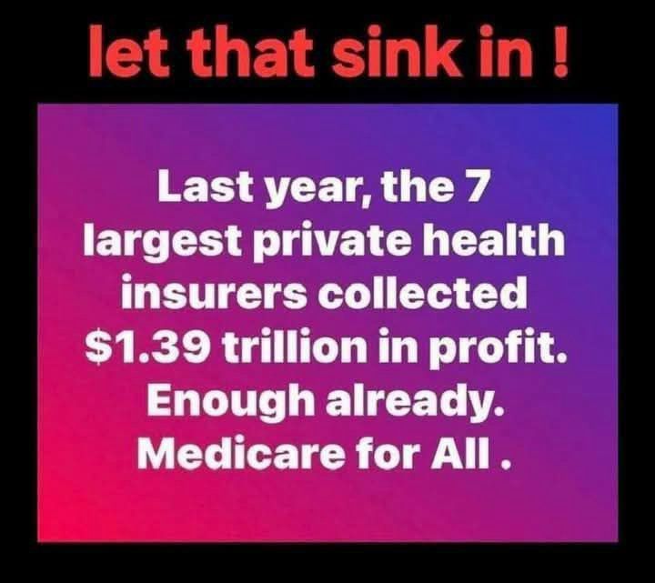 let that sink in ! Last year, the 7 largest private health insurers collected $1.39 trillion in profit. Enough already. Medicare for All •