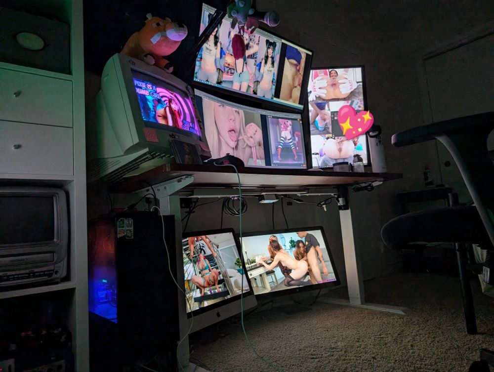 lots of monitors with pretty porn on them~