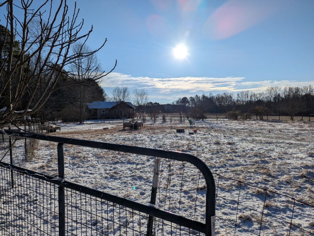 A pasture in North Carolina with about 2 inches of snow. Bright sun in a blue sky, and a clump of sheep eating hay out of a barrel in the distance.