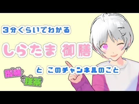 【チャンネル紹介】しらたま御膳とこのチャンネルのこと