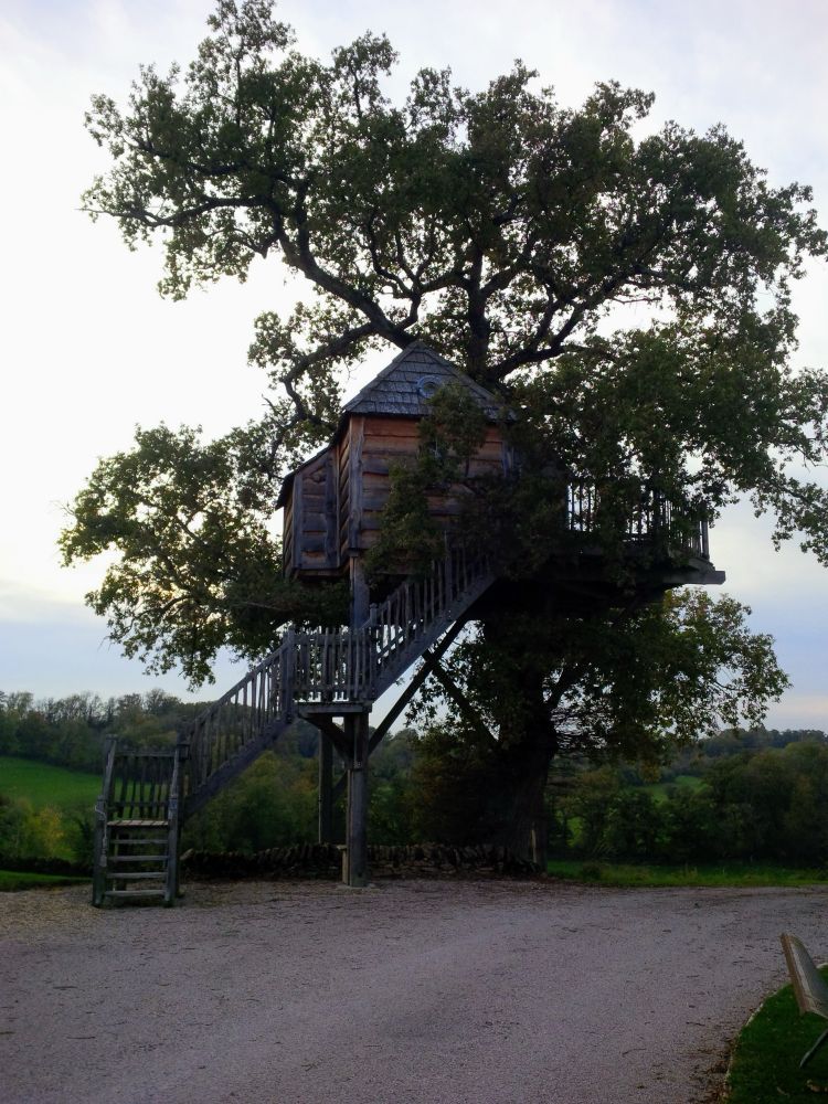 Splendid treehouse with brown wooden sides, a pitched grey roof and a wooden staircase leading up to it. It is halfway up  an oak tree. The photo is taken at dusk.