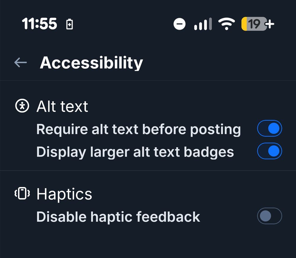 The Accessibility settings within the BlueSky Android app.

Showing "Require alt text before posting" turned on

Also shows "Display larger alt text badges" turned on and Disable haptic feedback turned off.