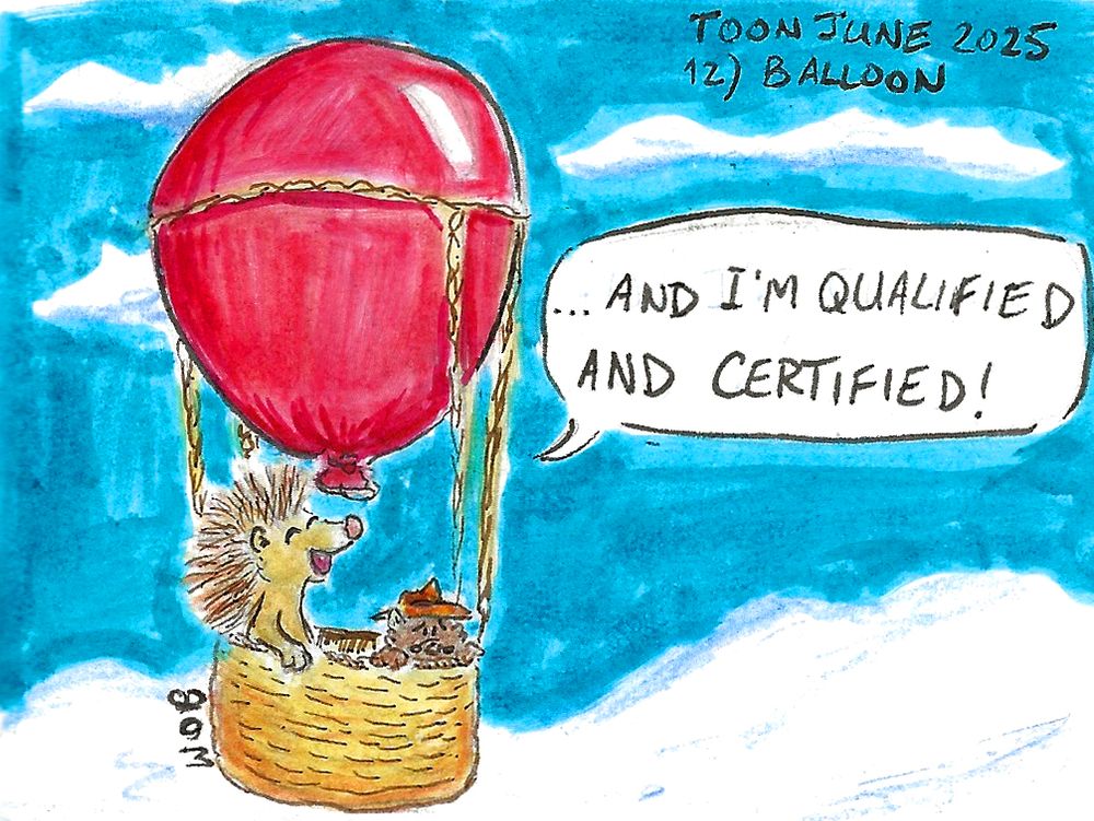 A hot air balloon hangs in the sky whilst the jovial hedgehog pilot says "... and I'm qualified and certified!". An anxious Shades clings on to the basket despite what he's hearing.